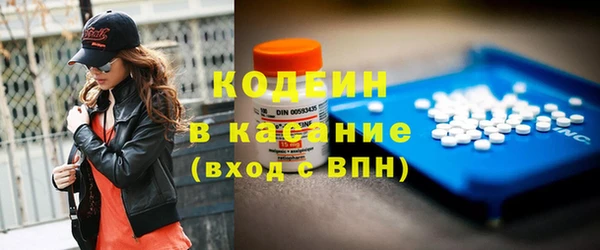 хмурый Алзамай
