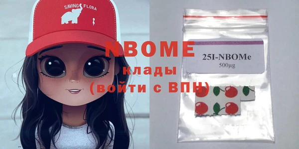 хмурый Алзамай