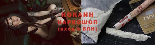 хмурый Алзамай