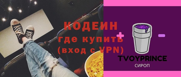 хмурый Алзамай