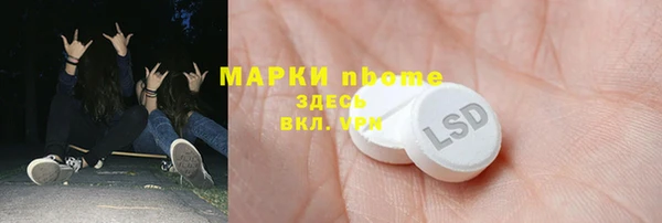 хмурый Алзамай