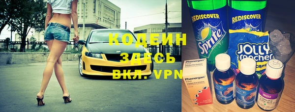 хмурый Алзамай