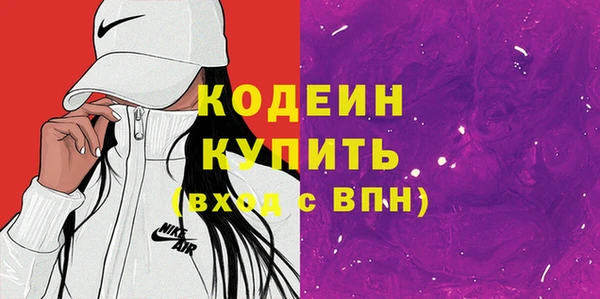 хмурый Алзамай