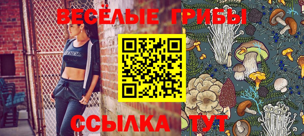 Псилоцибиновые грибы Magic Shrooms Морозовск